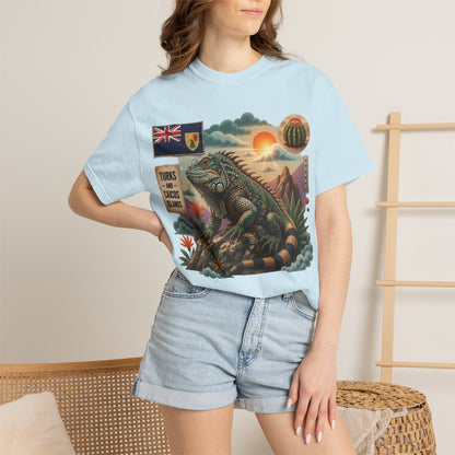 Iguana Island Vintage Sunset T-Shirt (M)