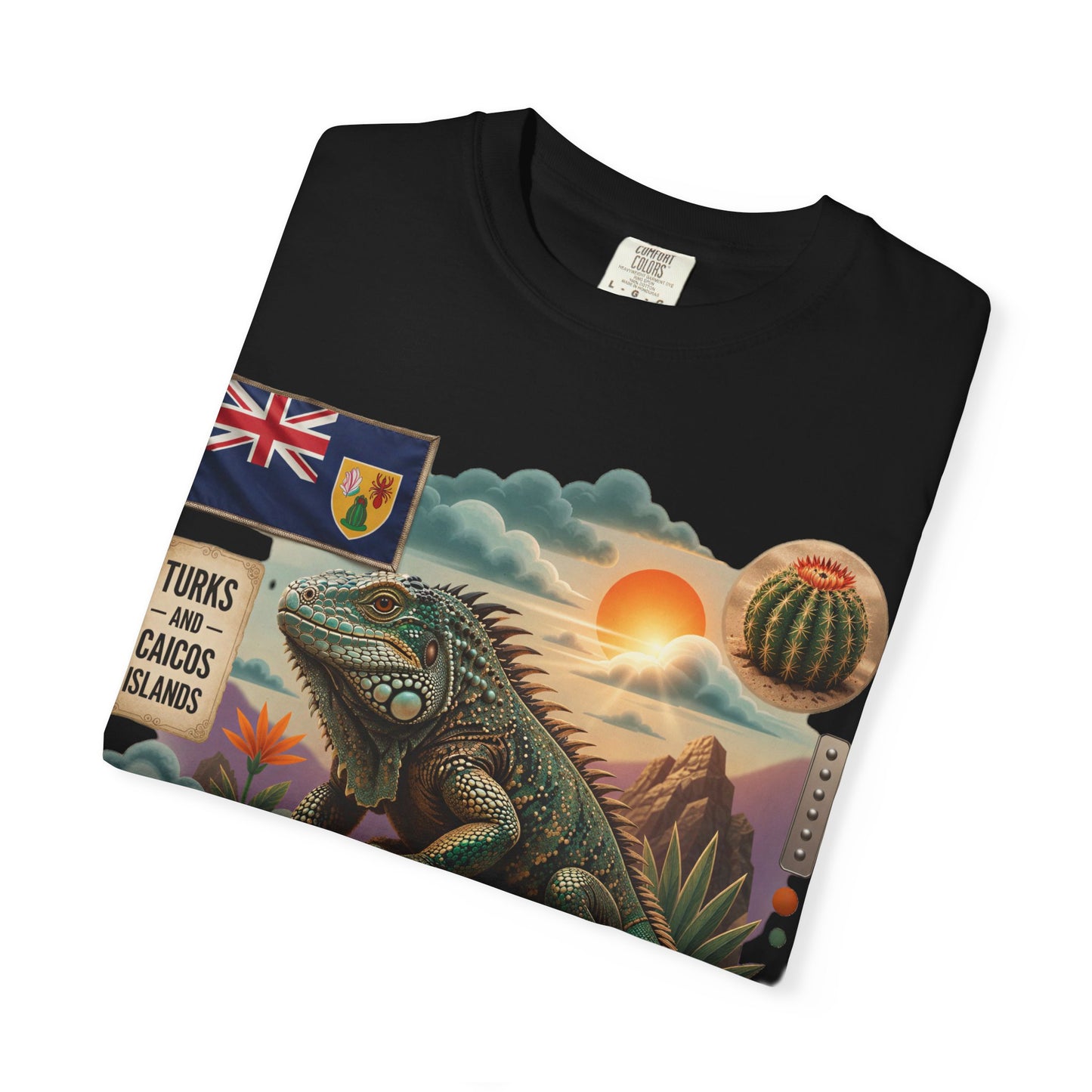 Iguana Island Vintage Sunset T-Shirt (M)