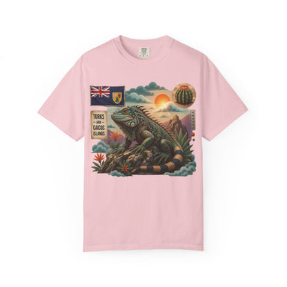 Iguana Island Vintage Sunset T-Shirt (M)